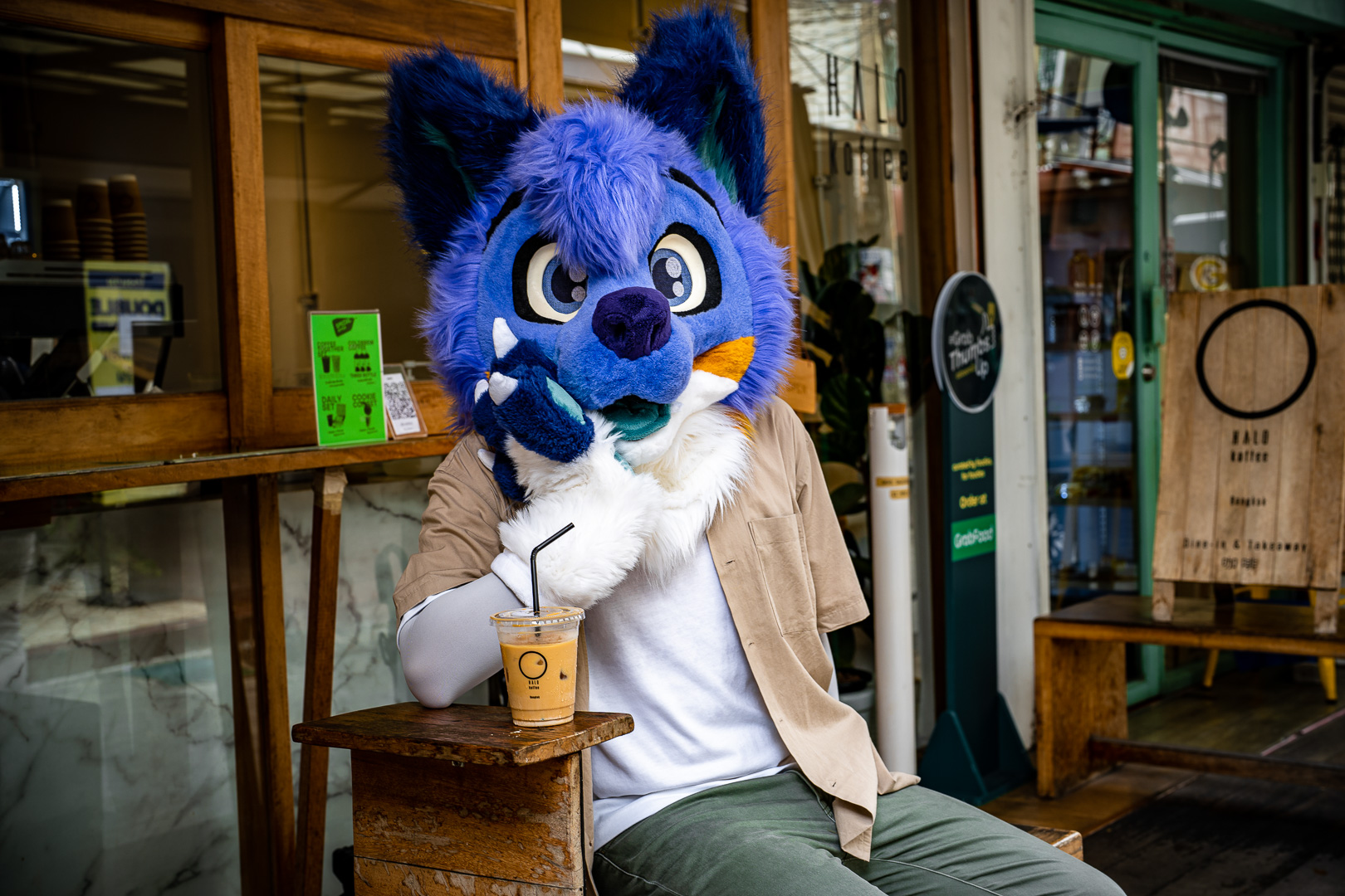 Flowdy fursuit photo